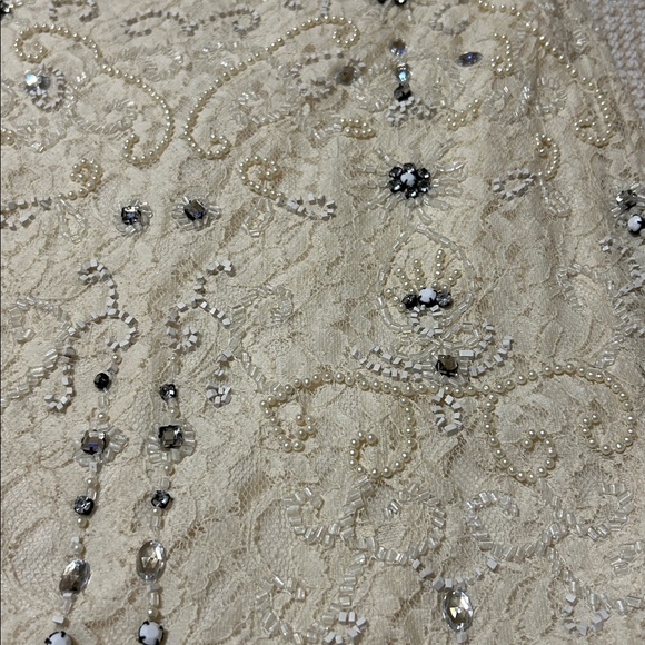 Zara Embellished Lace Skirt Large - Picture 3 of 6